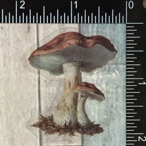 🌀10/$10🌀 Translucent Retro Mushroom Fairy Tale Reusable Waterproof Sticker Dec